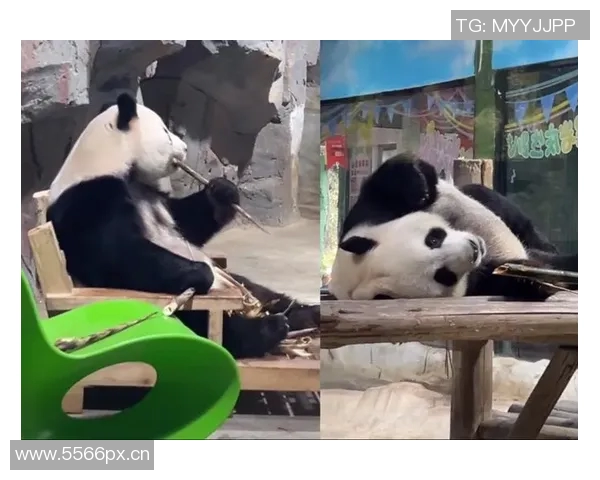 两种截然不同的无敌